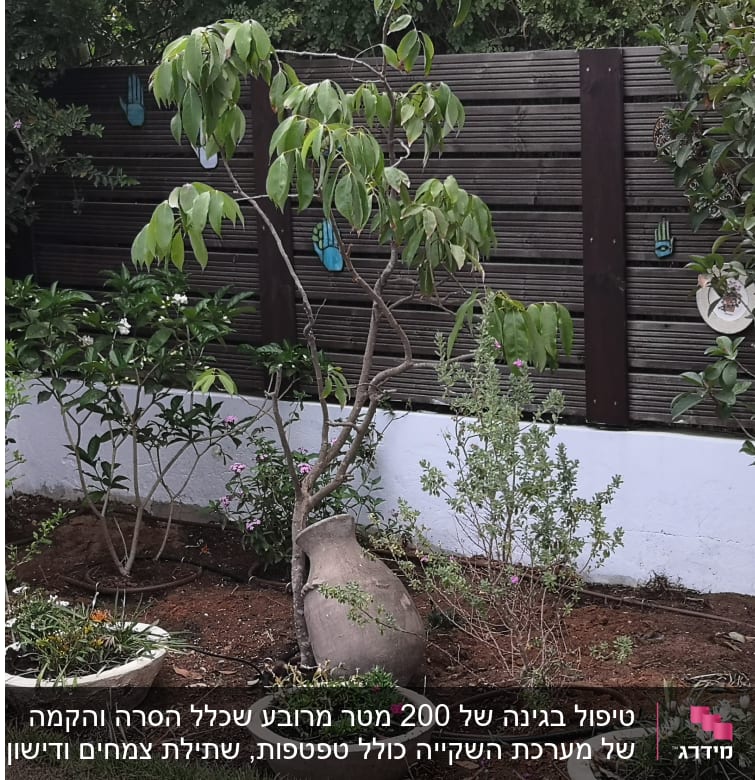 ניקוי גינה, פריסת טפטפות, שתילת שיחים